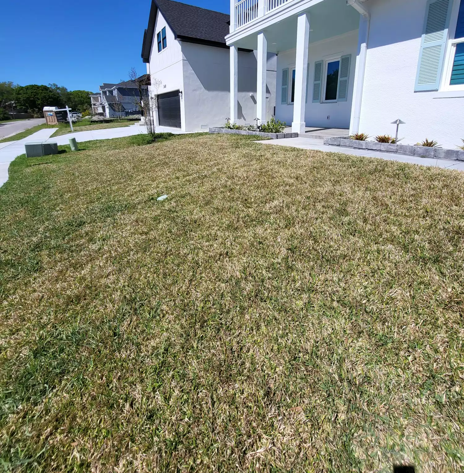 before-lawn