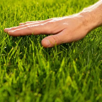 hand touching grass